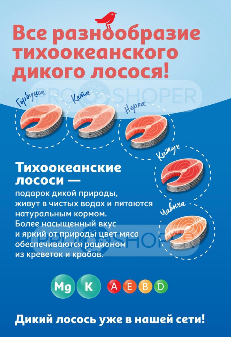 Каталог АШАН «Дикий лосось в нашей сети!» с 22 сентября по 5 октября 2022 года страница 2