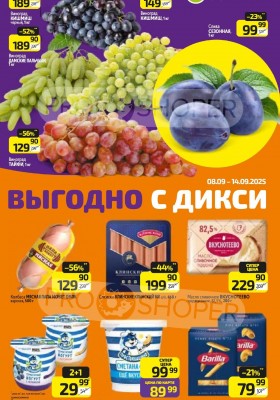 Каталог Дикси с 8 по 14 сентября 2025 года — Санкт-Петербург