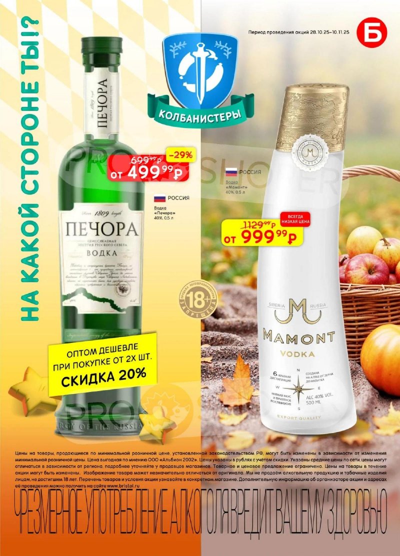 Каталог Бристоль с 28 октября по 10 ноября 2025 года страница 15