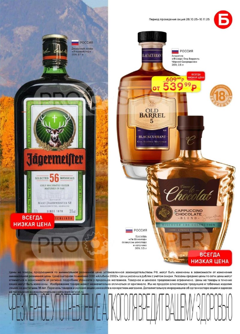 Каталог Бристоль с 28 октября по 10 ноября 2025 года страница 33