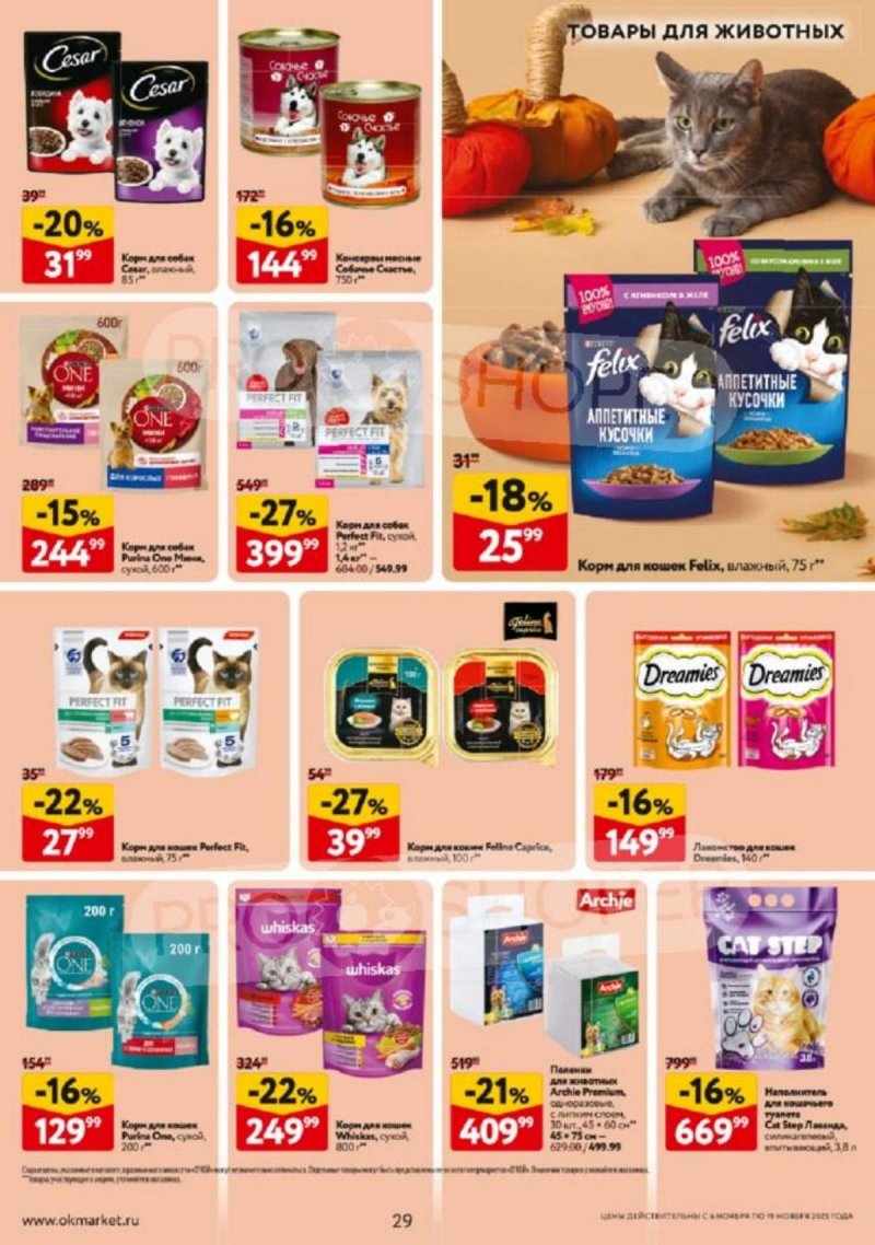 Каталог ОКЕЙ с 6 по 19 ноября 2025 года страница 29