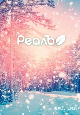 Каталог РеалЪ с 2 по 15 января 2026 года