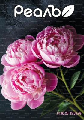 Каталог РеалЪ с 1 по 15 марта 2026 года