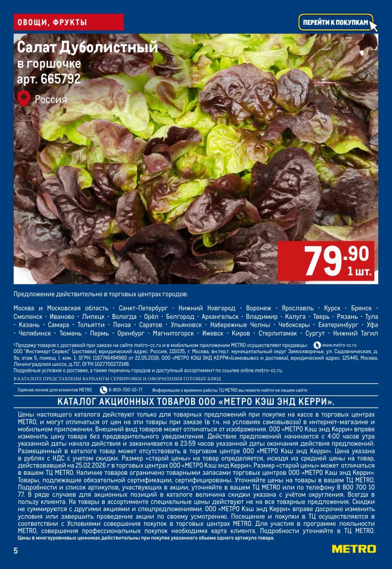 Каталог МЕТРО «Свежие фрукты и овощи» с 12 по 18 марта 2026 года страница 5