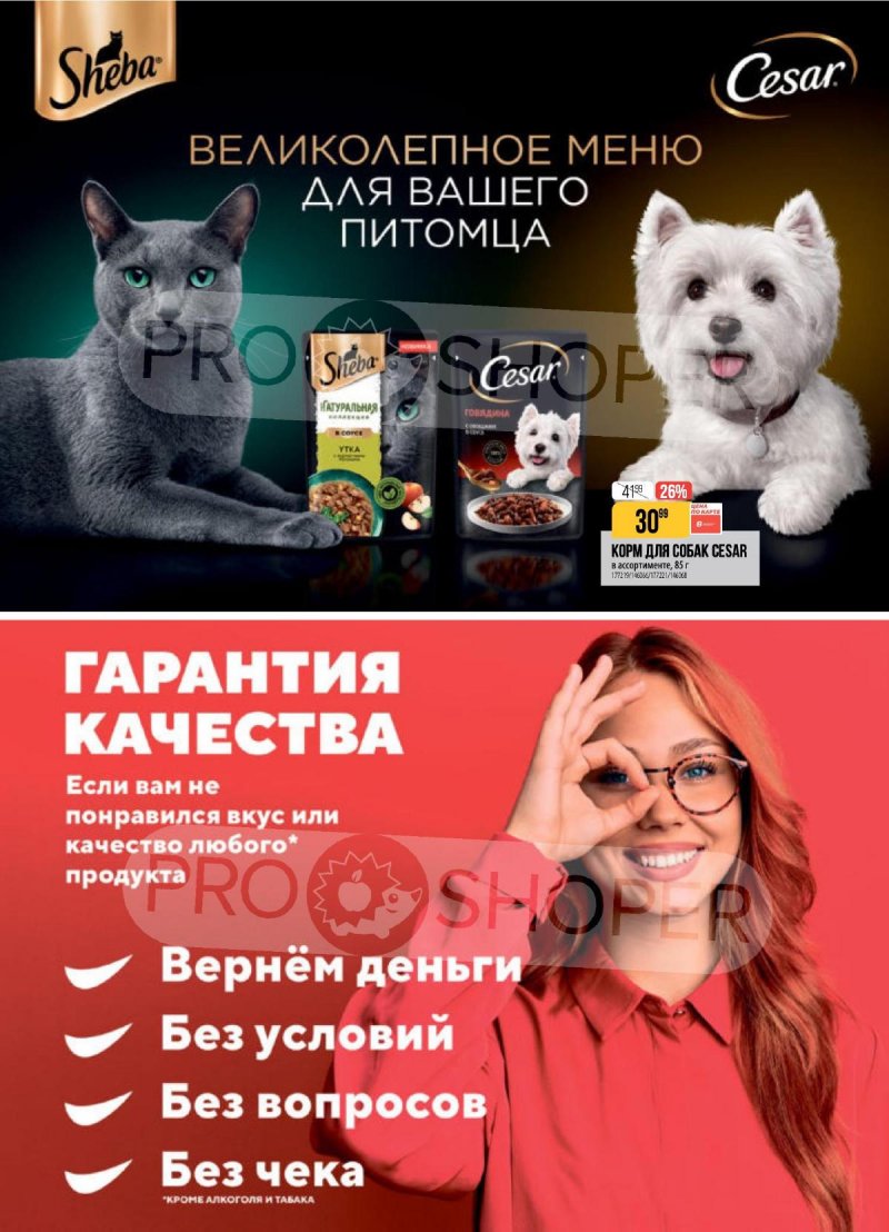 Каталог Верный с 14 по 20 апреля 2026 года — Санкт-Петербург страница 13 Каталог Верный с 14 по 20 апреля 2026 года — Санкт-Петербург страница 13