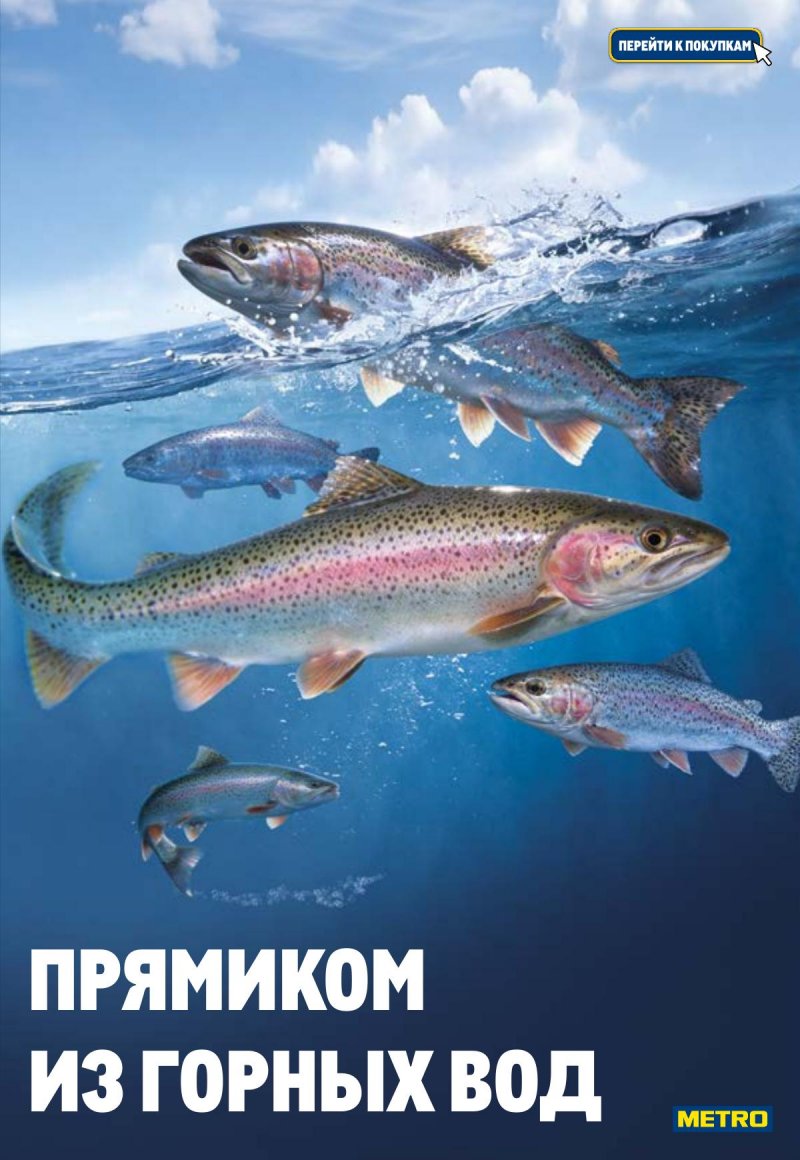 Каталог МЕТРО с 23 апреля по 6 мая 2026 года страница 5